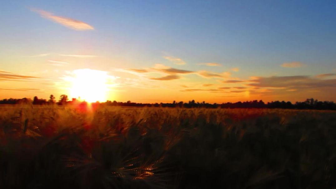 2025 Lake Victoria Field Presidents Quinquinium Report